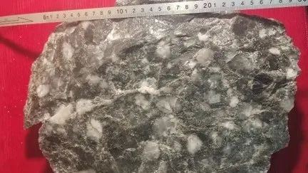 1661745471212691.jpg